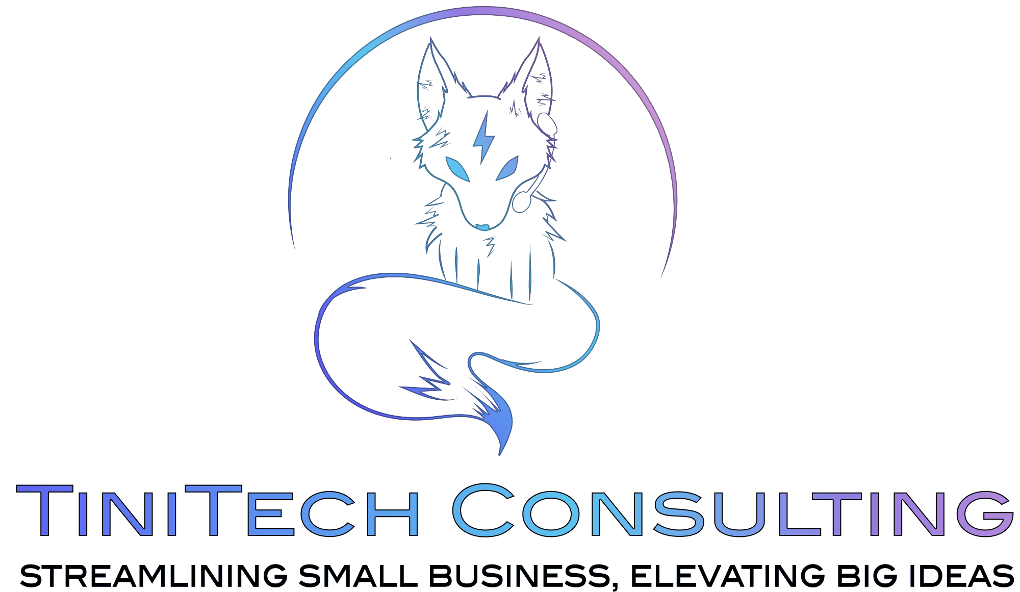 TiniTech Consulting